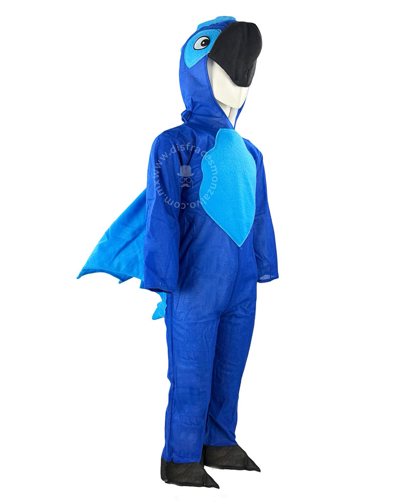 Pájaro