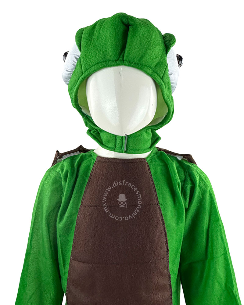 Tortuga - Imagen 5