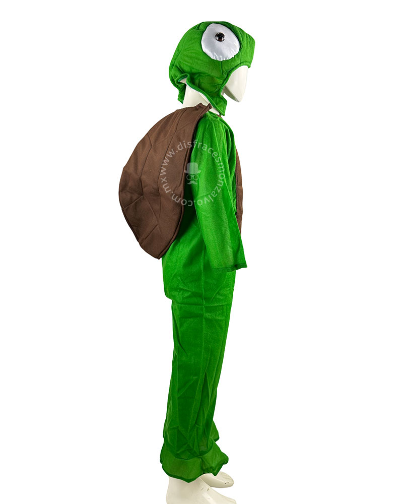 Tortuga - Imagen 4